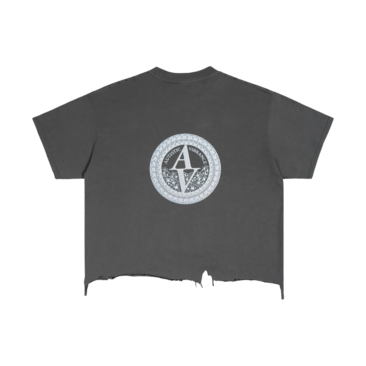 Autistic Vibrance Cropped Shirt